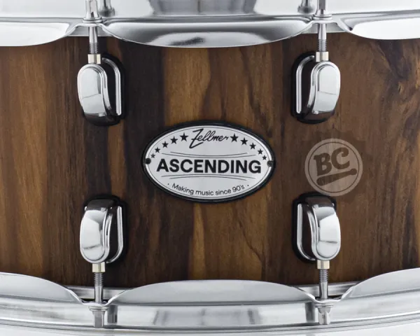 Caixa Zellmer by Spanking Ascending Black Wood 14x6.5